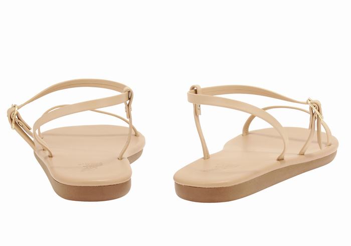 Sandales Bride Arrière Ancient Greek Sandals Niove   | YHX-2266322